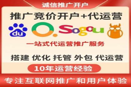 某电商平台的SEM推广策略及效果分析